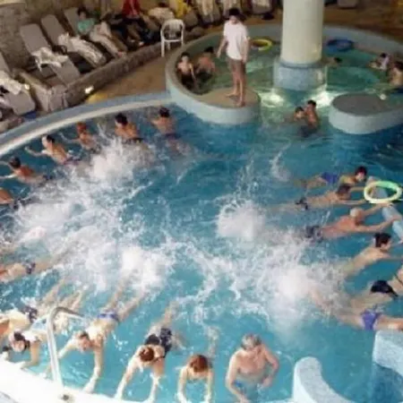 Pine Wood 8 * زلاكاروس